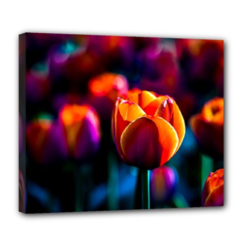 Red Tulips Deluxe Canvas 24  X 20  (stretched) by FunnyCow