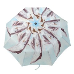 Background 1660365 1920 Folding Umbrellas by vintage2030