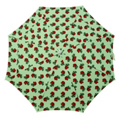 Red Roses Green Straight Umbrellas by snowwhitegirl