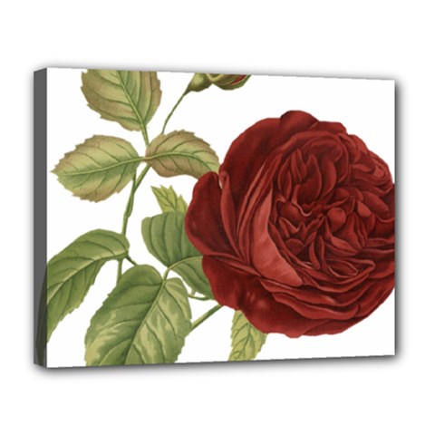 Rose 1077964 1280 Canvas 14  X 11  (stretched) by vintage2030