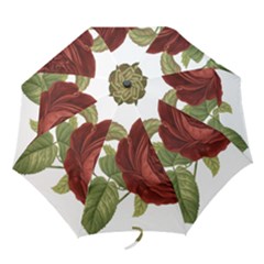 Rose 1077964 1280 Folding Umbrellas by vintage2030