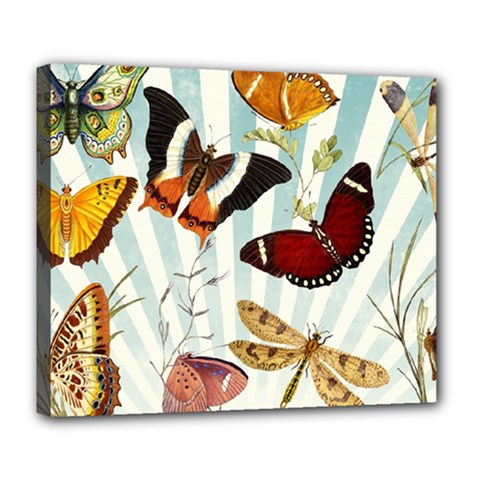 Butterfly 1064147 1920 Deluxe Canvas 24  X 20  (stretched) by vintage2030