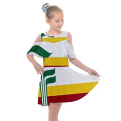 Flag Of Franco-manitobans Kids  Shoulder Cutout Chiffon Dress by abbeyz71