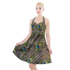Peacock Feathers Color Plumage Green Halter Party Swing Dress  by Sapixe