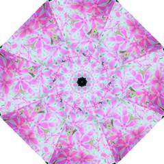 Hot Pink And White Peppermint Twist Flower Petals Folding Umbrellas by myrubiogarden