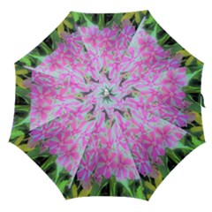 Hot Pink And White Peppermint Twist Garden Phlox Straight Umbrellas by myrubiogarden