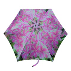 Hot Pink And White Peppermint Twist Garden Phlox Mini Folding Umbrellas by myrubiogarden