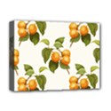 Apricot Fruit Vintage Art Deluxe Canvas 16  x 12  (Stretched)  View1