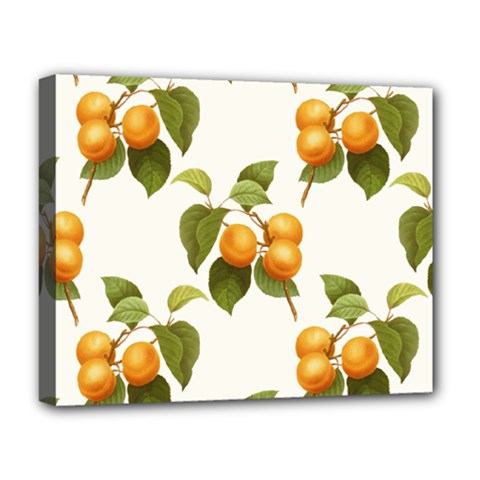 Apricot Fruit Vintage Art Deluxe Canvas 20  X 16  (stretched) by Pakrebo