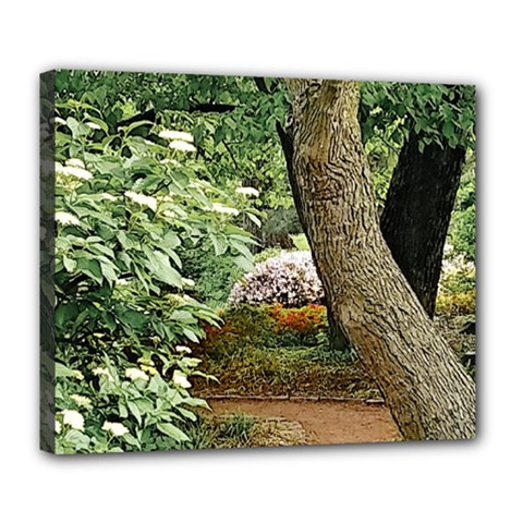 Garden Of The Phoenix Deluxe Canvas 24  X 20  (stretched) by Riverwoman