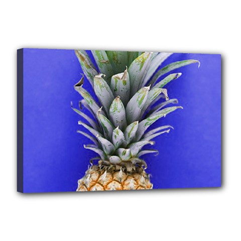 Pineapple Blue Canvas 18  X 12  (stretched) by snowwhitegirl