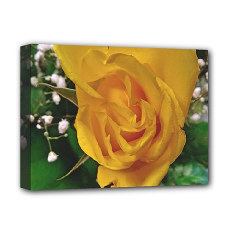 Yellow Rose Deluxe Canvas 16  X 12  (stretched)  by Riverwoman