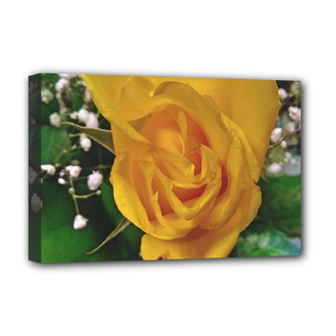 Yellow Rose Deluxe Canvas 18  X 12  (stretched) by Riverwoman