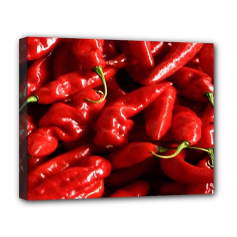 Red Chili Deluxe Canvas 20  X 16  (stretched) by Sudhe