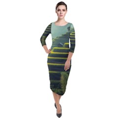 Scenic View Of Rice Paddy Quarter Sleeve Midi Velour Bodycon Dress by Sudhe