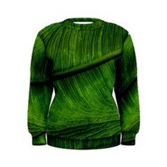 Green Leaf Plant Freshness Color Women s Sweatshirt by Pakrebo