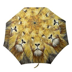 Lion Lioness Wildlife Hunter Folding Umbrellas by Pakrebo
