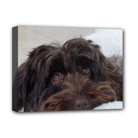 Laying In Dog Bed Deluxe Canvas 16  X 12  (stretched)  by pauchesstore