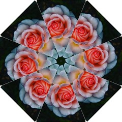 Favorite Rose  Hook Handle Umbrellas (small) by okhismakingart