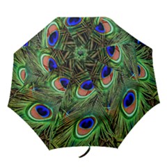 Peacock Feathers Folding Umbrellas by snowwhitegirl
