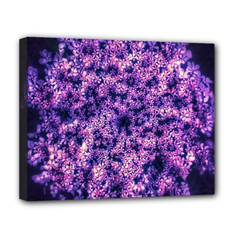 Queen Annes Lace In Purple And White Deluxe Canvas 20  X 16  (stretched) by okhismakingart