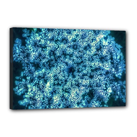 Queen Annes Lace In Neon Blue Canvas 18  X 12  (stretched) by okhismakingart