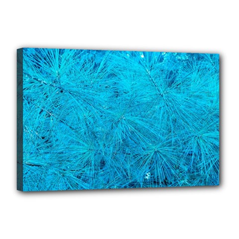 Turquoise Pine Canvas 18  X 12  (stretched) by okhismakingart