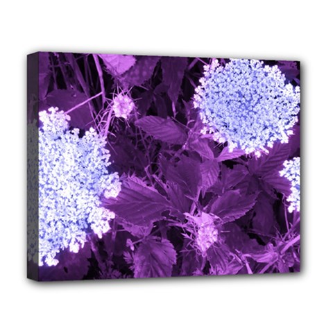 Queen Anne s Lace With Purple Leaves Deluxe Canvas 20  X 16  (stretched) by okhismakingart