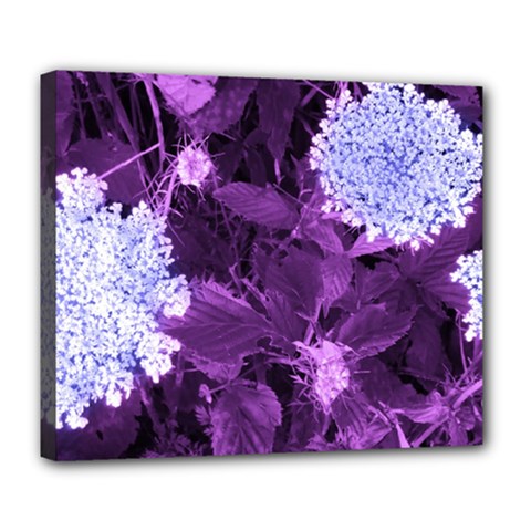 Queen Anne s Lace With Purple Leaves Deluxe Canvas 24  X 20  (stretched) by okhismakingart