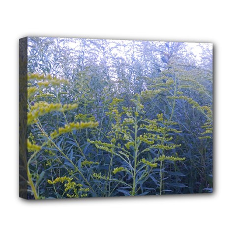 Blue Goldenrod Deluxe Canvas 20  X 16  (stretched) by okhismakingart