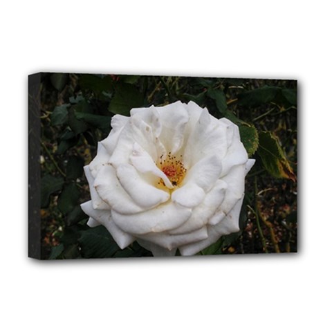 White Smooth Rose Deluxe Canvas 18  X 12  (stretched) by okhismakingart