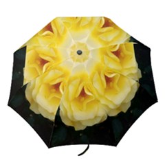 Pale Yellow Rose Folding Umbrellas by okhismakingart