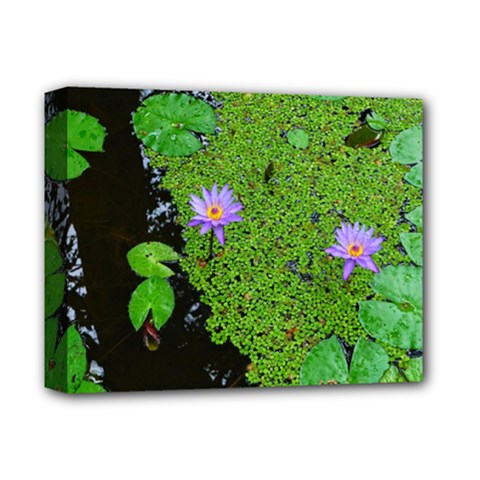 Lily Pond Deluxe Canvas 14  X 11  (stretched) by okhismakingart