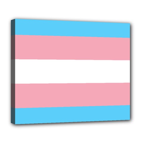 Transgender Pride Flag Deluxe Canvas 24  X 20  (stretched) by lgbtnation