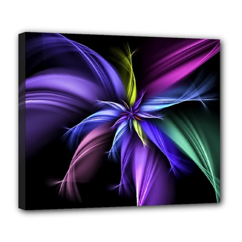 Fractal Floral Pattern Petals Deluxe Canvas 24  X 20  (stretched) by Pakrebo