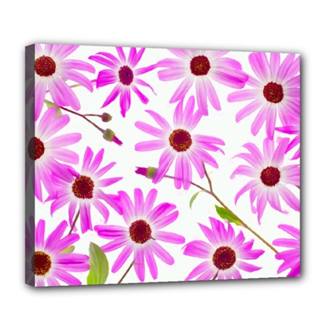 Pink Purple Daisies Design Flowers Deluxe Canvas 24  X 20  (stretched) by Pakrebo