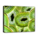 Sliced Kiwi Fruits Green Deluxe Canvas 20  x 16  (Stretched) View1