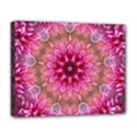 Flower Mandala Art Pink Abstract Deluxe Canvas 20  x 16  (Stretched) View1