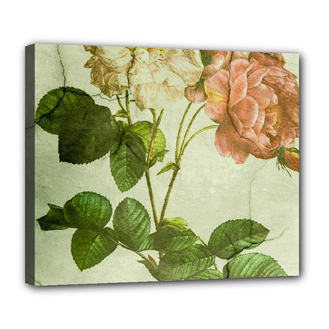 Peony 2507643 1920 Deluxe Canvas 24  X 20  (stretched) by vintage2030