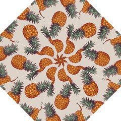 Seamless Pattern With Vector Illustrations Pineapples Straight Umbrellas by Vaneshart