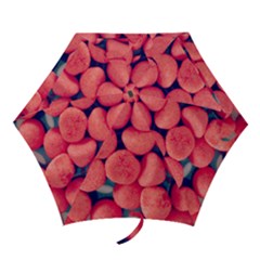 Fraise Bonbons Mini Folding Umbrellas by kcreatif