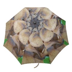 Close Up Mushroom Abstract Folding Umbrellas by Fractalsandkaleidoscopes
