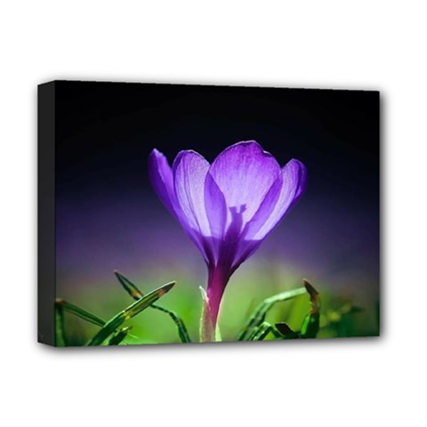 Floral Nature Deluxe Canvas 16  X 12  (stretched)  by Sparkle