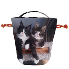 Cats Brothers Drawstring Bucket Bag by Sparkle