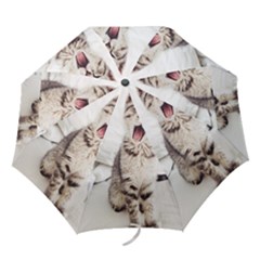 Laughing Kitten Folding Umbrellas by Sparkle