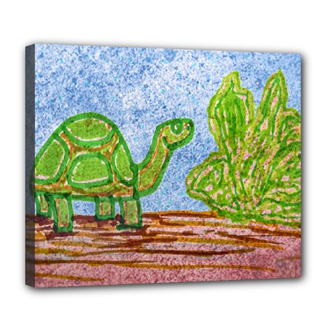 Turtle And Letttuce Colored Illustration Deluxe Canvas 24  X 20  (stretched) by dflcprintsclothing