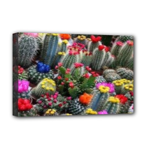 Cactus Deluxe Canvas 18  X 12  (stretched) by Sparkle