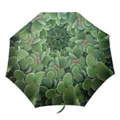 Green Cactus Folding Umbrellas by Sparkle