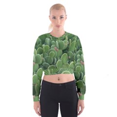 Green Cactus Cropped Sweatshirt by Sparkle
