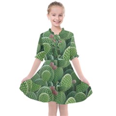 Green Cactus Kids  All Frills Chiffon Dress by Sparkle